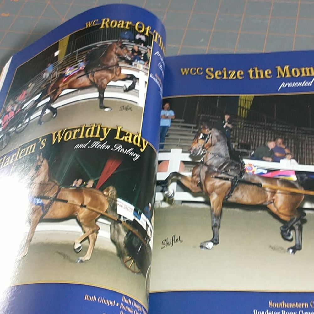 Saddle & Bridle magazine - Picture 9 of 9